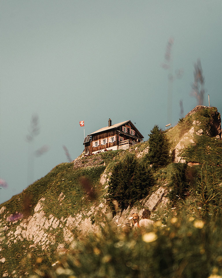 Babes in Schwyz